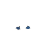 Load image into Gallery viewer, Mėlyni titano auskarai
